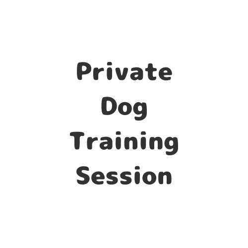 Dog Training Walk / Session - 60 Minutes (owner not present)