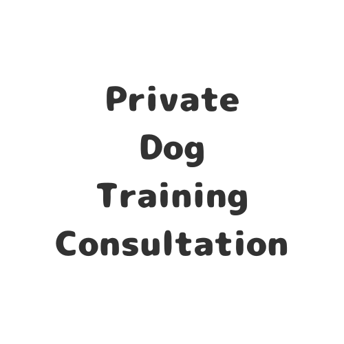 Dog Training Consultation