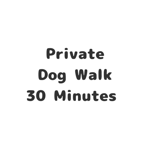 Dog Walk - 30 Minutes - Private