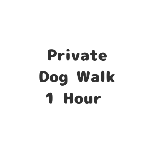 Dog Walk - 60 Minutes - Private